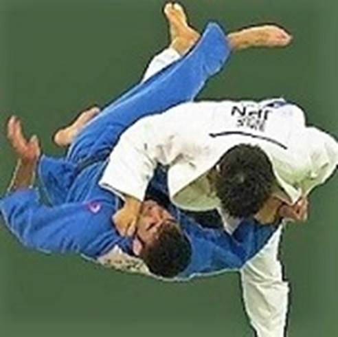a Judo throw